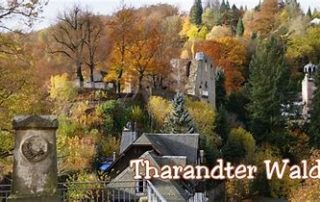 Tharandter-Wald-Burgruine